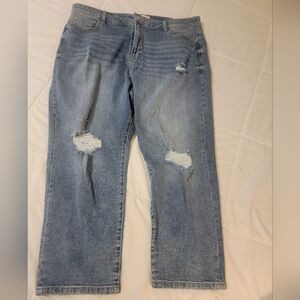 Eloquii Denim Jean's NWOT